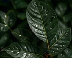 Sustainability and Reporting
